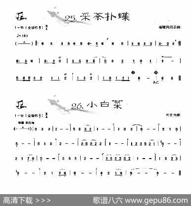 葫芦丝曲精选：采茶扑蝶小白菜|王甲坤，王甲华编著