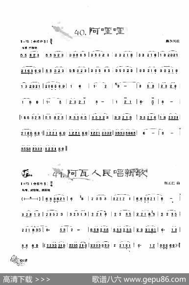 葫芦丝曲精选：阿哩哩阿佤人民唱新歌|王甲坤，王甲华编著