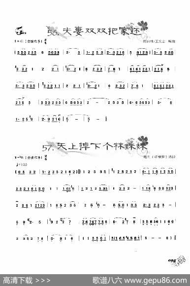 葫芦丝曲精选：夫妻双双把家还天上掉下个林妹妹|王甲坤，王甲华编著