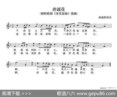 赤诚花（朝鲜歌剧《卖花姑娘》选曲、五线谱））