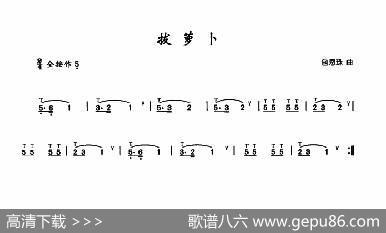 拔萝卜|包恩珠曲、李鹏程选编
