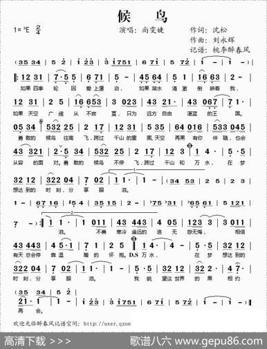 候鸟（尚雯婕演唱版） - 沈松|刘永辉