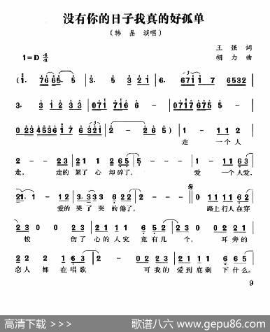 没有你的日子我真的好孤单 - 王强|胡力