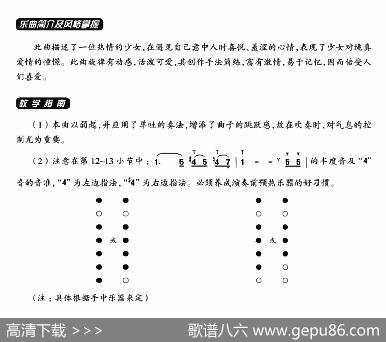 葫芦丝教学曲集：心恋|梁龄选曲、周成龙编曲