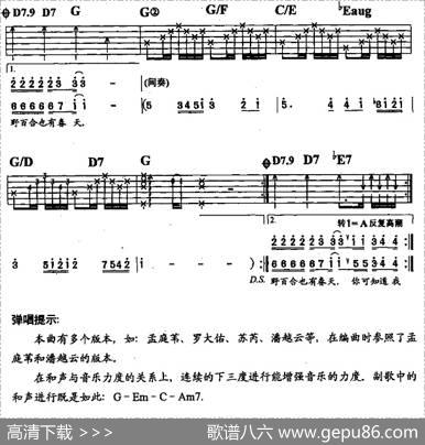 野百合也有春天（李刚编配版） - 罗大佑|罗大佑