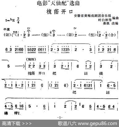 电影“天仙配”选曲：槐荫开口|桑弧改编安徽省黄梅戏剧团音乐组、时白林等编曲