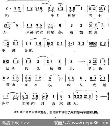 电影“天仙配”选曲：槐荫别|桑弧改编安徽省黄梅戏剧团音乐组、时白林等编曲
