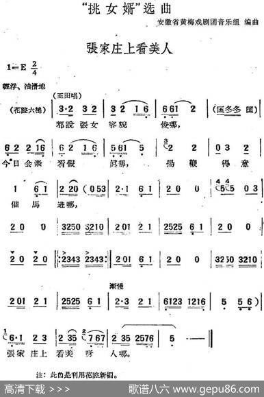 “挑女婿”选曲：张家庄上看美人|安徽省黄梅戏剧团音乐组编曲