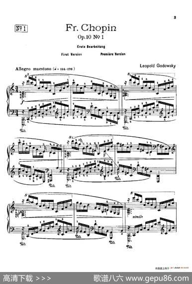 53首以肖邦练习曲为素材而作的练习曲（No.1）|里奥鲍尔德·戈多夫斯基
