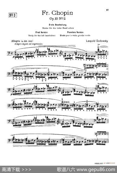53首以肖邦练习曲为素材而作的练习曲（No.3）|里奥鲍尔德·戈多夫斯基