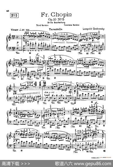 53首以肖邦练习曲为素材而作的练习曲（No.9）|里奥鲍尔德·戈多夫斯基