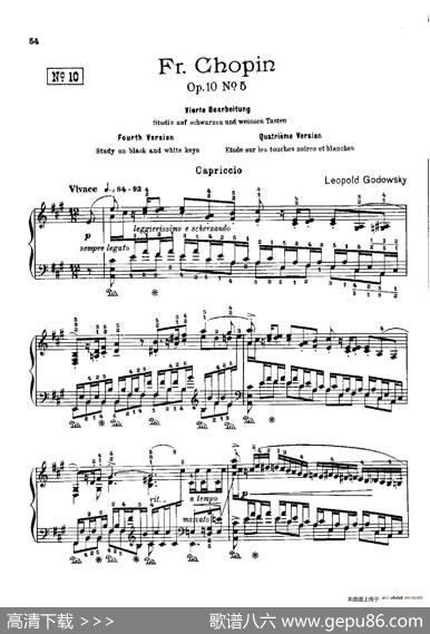 53首以肖邦练习曲为素材而作的练习曲（No.10）|里奥鲍尔德·戈多夫斯基