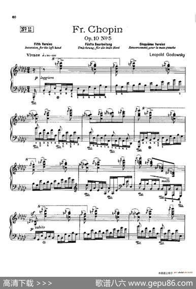 53首以肖邦练习曲为素材而作的练习曲（No.11）|里奥鲍尔德·戈多夫斯基