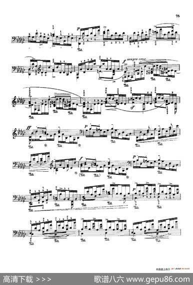 53首以肖邦练习曲为素材而作的练习曲（No.12A）|里奥鲍尔德·戈多夫斯基