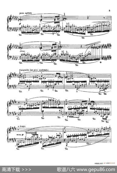 53首以肖邦练习曲为素材而作的练习曲（No.13）|里奥鲍尔德·戈多夫斯基