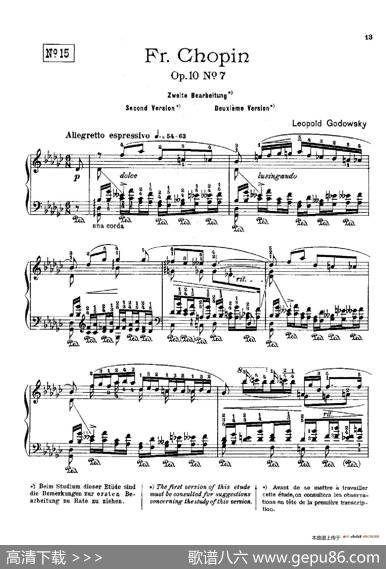 53首以肖邦练习曲为素材而作的练习曲（No.15）|里奥鲍尔德·戈多夫斯基