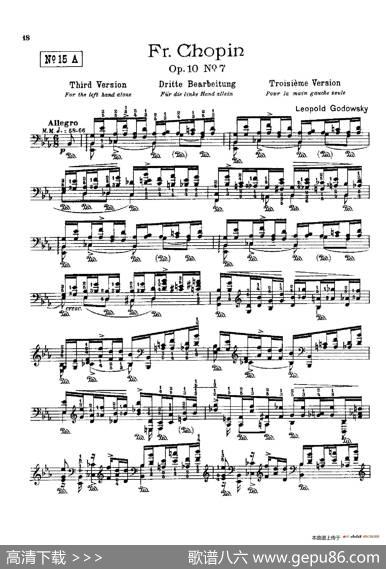 53首以肖邦练习曲为素材而作的练习曲（No.15A）|里奥鲍尔德·戈多夫斯基