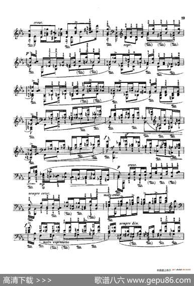 53首以肖邦练习曲为素材而作的练习曲（No.15A）|里奥鲍尔德·戈多夫斯基