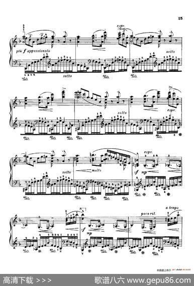 53首以肖邦练习曲为素材而作的练习曲（No.16）|里奥鲍尔德·戈多夫斯基