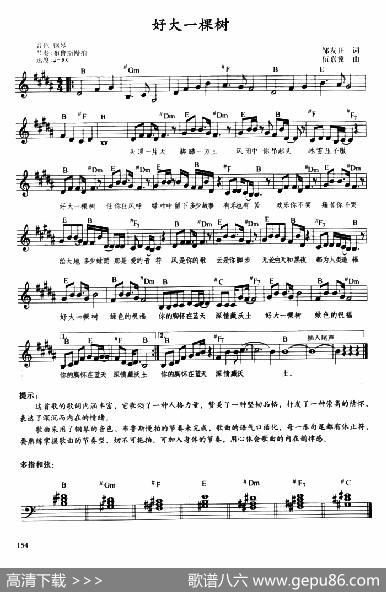 好大一棵树（带歌词、提示版） - 邹友开|伍嘉冀