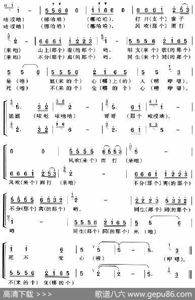 姐叫情哥你放心 - 金绪道|高光仁