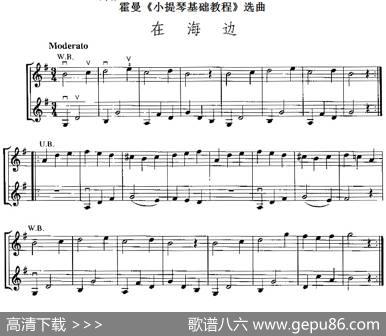 霍曼《小提琴基础教程》选曲：在海边（二重奏）