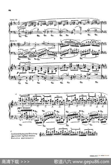 53首以肖邦练习曲为素材而作的练习曲（No.19）|里奥鲍尔德·戈多夫斯基