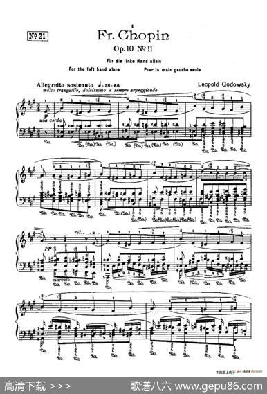 53首以肖邦练习曲为素材而作的练习曲（No.21）|里奥鲍尔德·戈多夫斯基