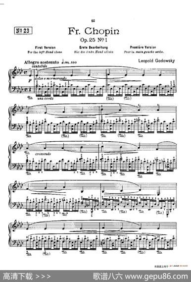 53首以肖邦练习曲为素材而作的练习曲（No.23）|里奥鲍尔德·戈多夫斯基