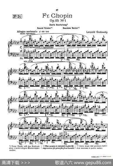 53首以肖邦练习曲为素材而作的练习曲（No.24）|里奥鲍尔德·戈多夫斯基