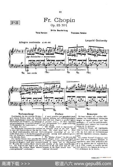 53首以肖邦练习曲为素材而作的练习曲（No.25）|里奥鲍尔德·戈多夫斯基