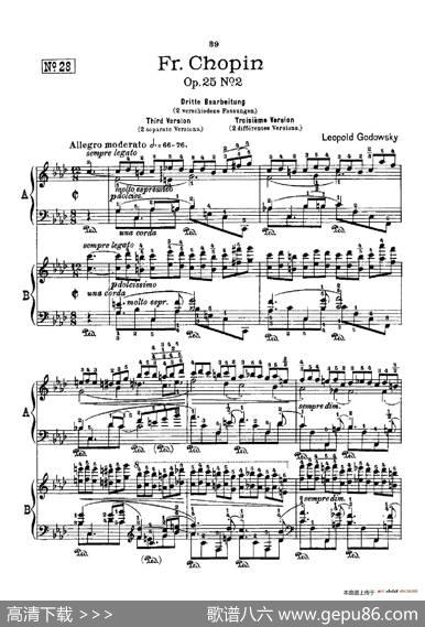 53首以肖邦练习曲为素材而作的练习曲（No.28）|里奥鲍尔德·戈多夫斯基