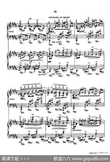 53首以肖邦练习曲为素材而作的练习曲（No.29）|里奥鲍尔德·戈多夫斯基