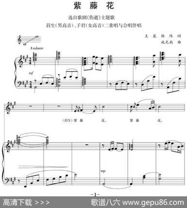 钢琴伴奏版二重唱：紫藤花（选自歌剧《伤逝》主题歌） - 王泉韩伟|施光南