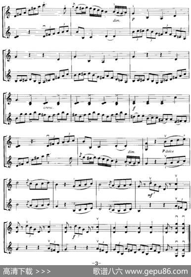 霍曼《小提琴基础教程》选曲：小二重协奏曲|[奥]普莱埃尔