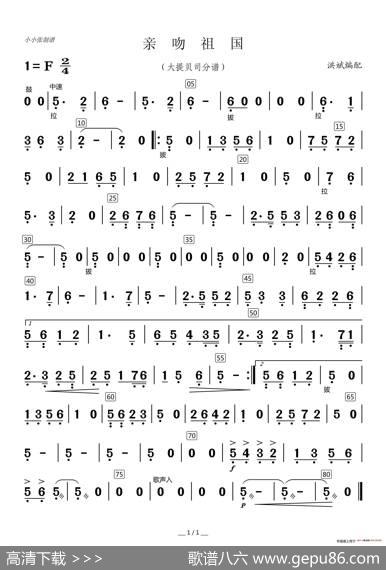 亲吻祖国（器乐合奏分谱）|洪斌编配