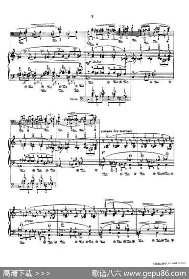 53首以肖邦练习曲为素材而作的练习曲（No.31）|里奥鲍尔德·戈多夫斯基