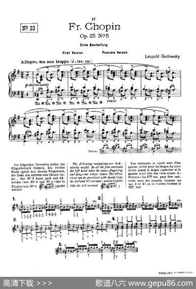 53首以肖邦练习曲为素材而作的练习曲（No.33）|里奥鲍尔德·戈多夫斯基
