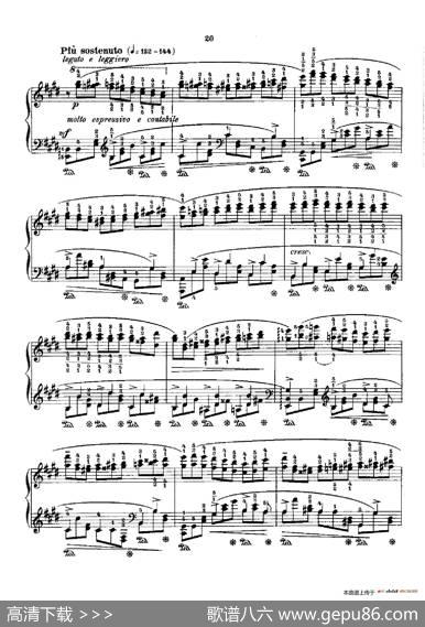 53首以肖邦练习曲为素材而作的练习曲（No.33）|里奥鲍尔德·戈多夫斯基