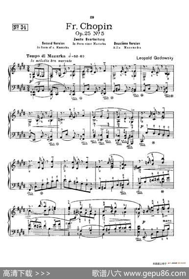 53首以肖邦练习曲为素材而作的练习曲（No.34）|里奥鲍尔德·戈多夫斯基