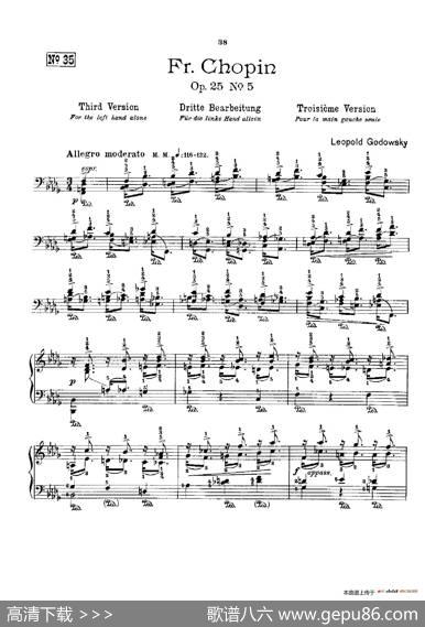 53首以肖邦练习曲为素材而作的练习曲（No.35）|里奥鲍尔德·戈多夫斯基
