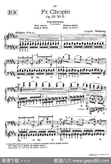 53首以肖邦练习曲为素材而作的练习曲（No.36）|里奥鲍尔德·戈多夫斯基