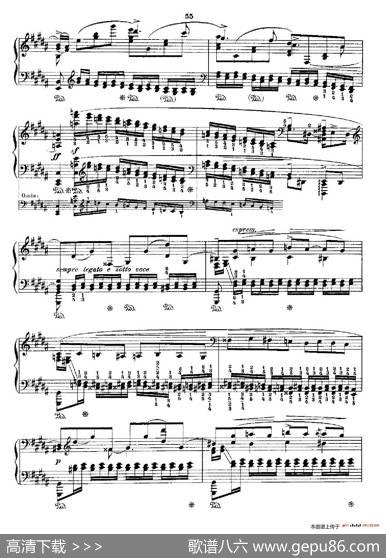 53首以肖邦练习曲为素材而作的练习曲（No.36）|里奥鲍尔德·戈多夫斯基