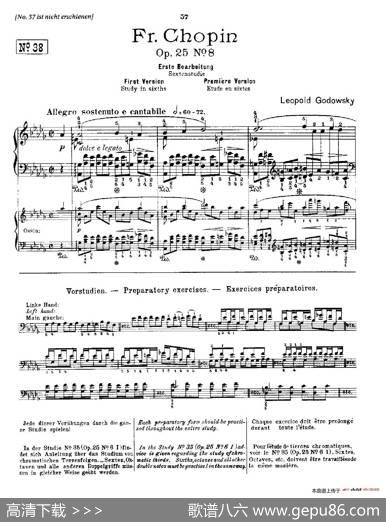 53首以肖邦练习曲为素材而作的练习曲（No.38）|里奥鲍尔德·戈多夫斯基