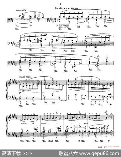 53首以肖邦练习曲为素材而作的练习曲（No.41）|里奥鲍尔德·戈多夫斯基