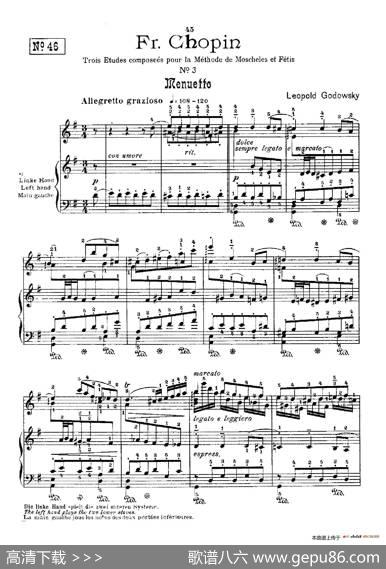 53首以肖邦练习曲为素材而作的练习曲（No.46）|里奥鲍尔德·戈多夫斯基