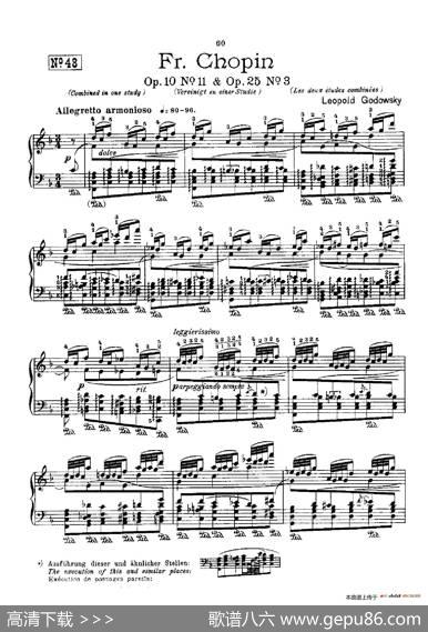 53首以肖邦练习曲为素材而作的练习曲（No.48）|里奥鲍尔德·戈多夫斯基