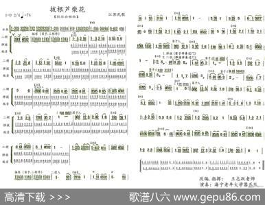 拔根芦柴花|王志跃改编