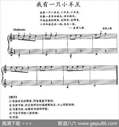 我有一只小羊羔