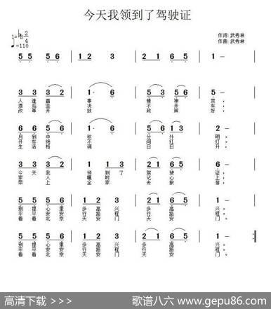 今天我拿到了驾驶证 - 武秀林|武秀林